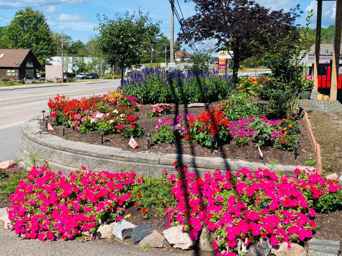 Town & Country Motel Parry Sound Exteriér fotografie